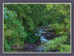 Quelle am Pipiway Trail auf Maui