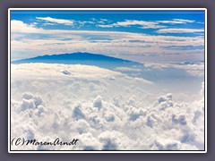 und zum Mauna Loa ebenfalls auf Big Island