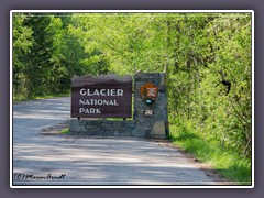 Glacier NP Eingang zur Going to the Sun Road 