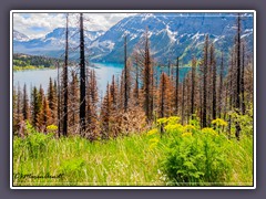 Landschaft am St Mary Lake