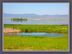 Nine Pipe National Wildlife Refuge am Highway 93