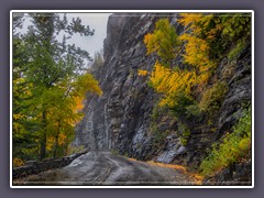 Farbenpracht trotz Regenwetter