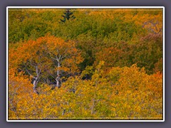 Herbstland