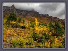 Herbstliches Ambiente