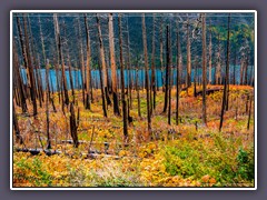 Im Hintergrund der St. Marys Lake