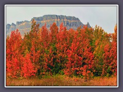 Wunderschöner Herbst - Beginn "Going to the Sun Road" in St Marys