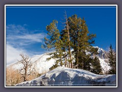 Great Basin NP im Mai