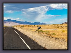 Highway 50 Route der Pony Expressreiter im wilden Westen