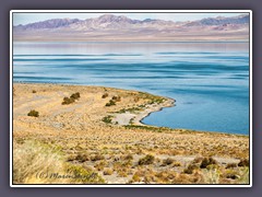 Walker Lake. - ein natürlicher Salzsee im großen Becken der USA