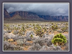 Wolkenverhangene Berge am REd Rock Canyon