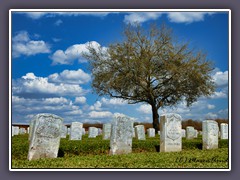 Chalmette - National Cemetary