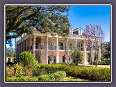 Oak Alley Plantation