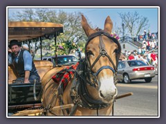 Warten auf Kundschaft am Jackson Square