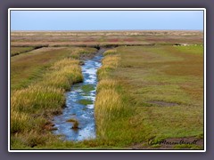 Nationalpark Wattenmeer – UNESCO-Weltnaturerbe mit Salzwiesen, Dünen und einzigartiger Tierwelt