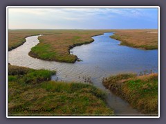 St Peter Ording - in den Dünen