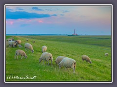 Westerhever - Abendlicht