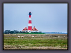 Westerhever - auf der Halbinsel Eiderstedt