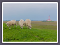 Westerhever - der Leuchtturm vor dem Deich