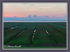 Westerhever - geschütze Salzwiesen