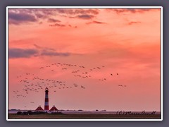 Westerhever - im Abendrot 