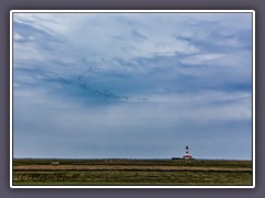 Westerhever - inmitten von Salzwiesen