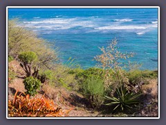 Diamond Head Beach Park