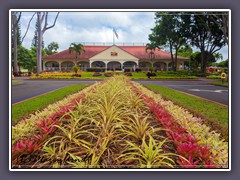 Dole Ananasplantage auf Oahu