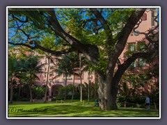 The Royal Hawaiian Hotel