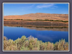 Columbia River Panorama