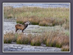 Der Natur auf der Spur