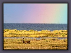 Im Land des Regenbogens