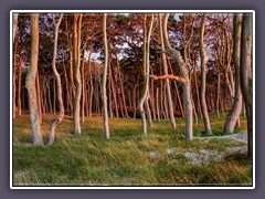 Weststrand - Mittelweg