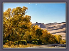 Auf dem Weg zu den Great Sand Dunes