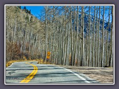 Colorado Highway 82 von Aspen über den Independence Pass