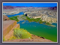 Der Colorado wird zum Lake Powell