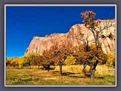 Fruita - Obstplantage vor roten Felsen