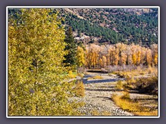 Goldener Herbst