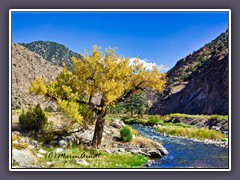 Herbst am Arkansas River am Colorado Highway 50