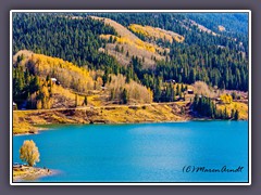 Herbst am Trout Lake