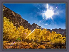 Herbstleuchten im Capitol Reef National Park