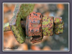 Rost ist bunt