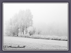 Winternebel