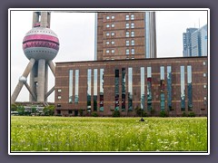 Wildblumenwiese vor dem Oriental Pearl Tower