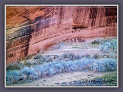 Navajo Ruinen im Canyon de Chelly