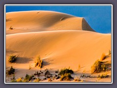 Am nächsten Tag Sommerfeeeling in den Imperial Dunes