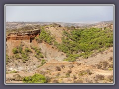 Die Olduvai Schlucht liegt in Tanzania und gilt als die Wiege der Menschheit