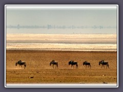 Flirrende Mittagshitze am Lake Manyara