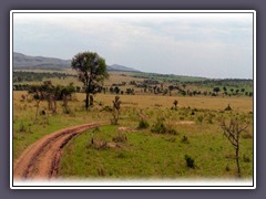 Serengeti Nord Overlook