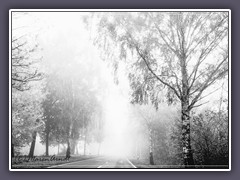 Schwarzweiss - Nebel