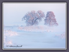 Winter - am Neugrabenfleet